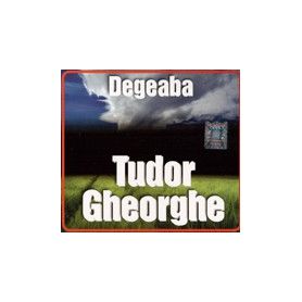 Degeaba - Tudor Gheorghe