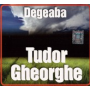 Degeaba - Tudor Gheorghe