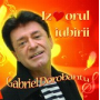 Izvorul iubirii - Gabriel Dorobantu