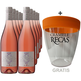 Recas - Sole - Roze - 10 X + Weinkühler Gratis