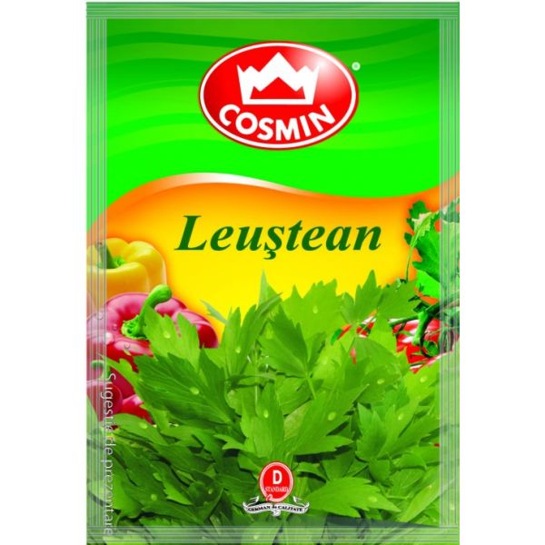 Cosmin - Leustean