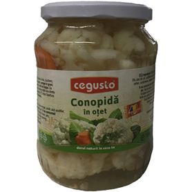 Conservfruct - Cegusto - Blumenkohl in Essig - Conopida in otet